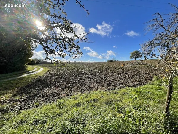 Terrain bives 
