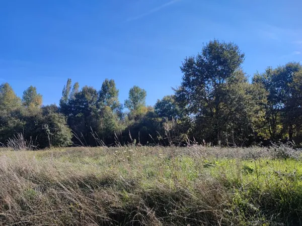 Terrain de 900m2 à Langoiran 