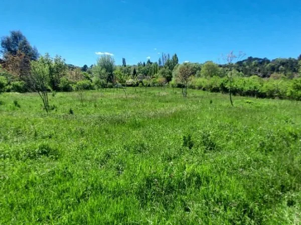 Terrain 1000 m² 