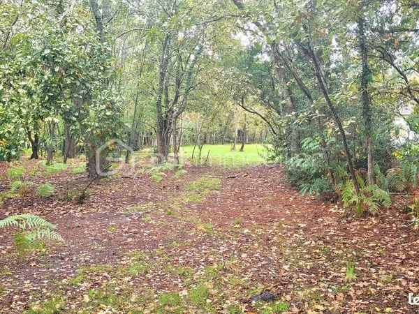 Terrain 1 000 m² Parentis En Born 