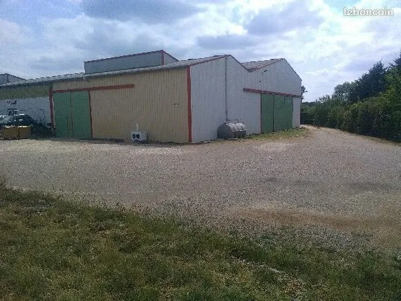 Local d activité 