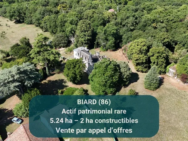Vends hôtel particulier 670m² 