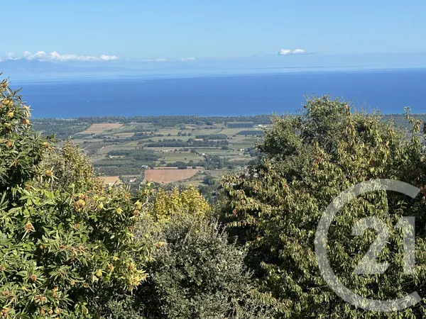 Terrain 3000 m² 