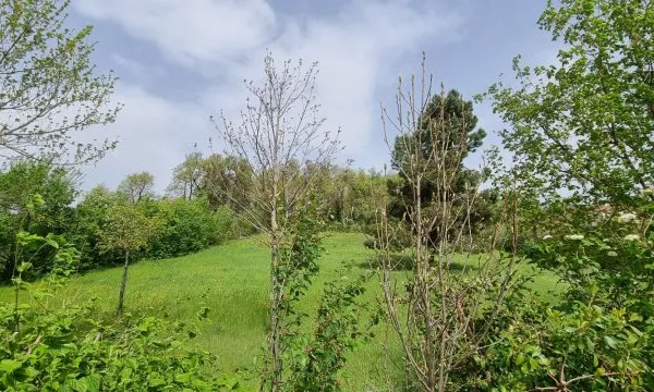 Terrain constructible 690 m² - Chateauneuf-sur-Isère