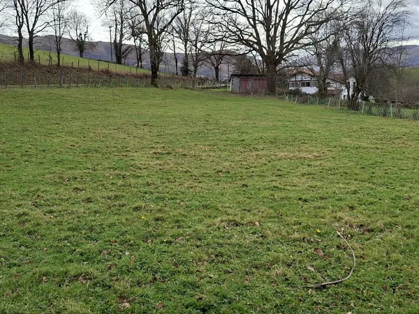 Terrain 1630 m² 