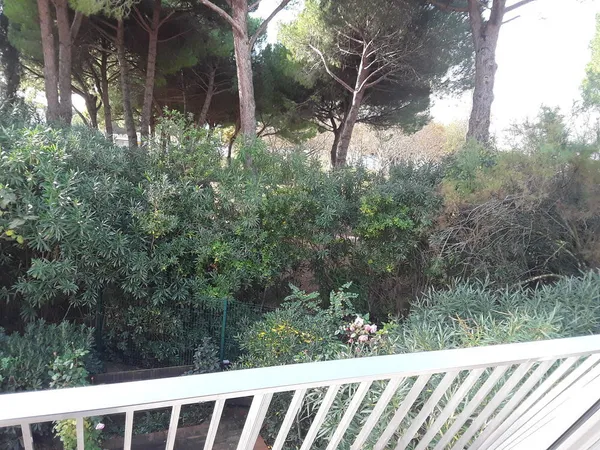Appartement sur zone terre et mer. 