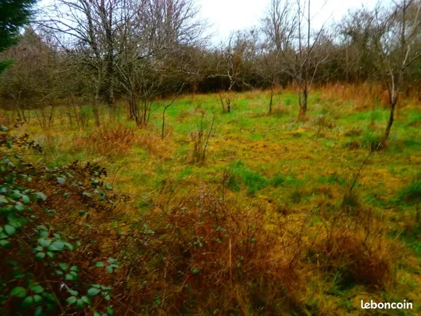 Terrain 3 000 m² Deols 