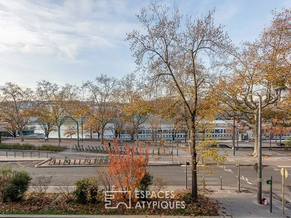 Appartement haussmannien bord du Rhône 