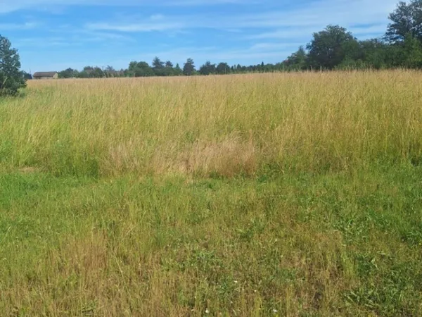 Terrain 6000 m² 
