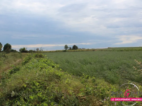 Terrain non constructible 4448 m² 