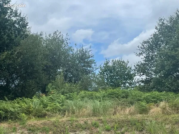 Terrain 563 m² Saint Jean De Marsacq 