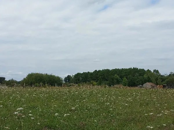 Terrain 1600 m² 