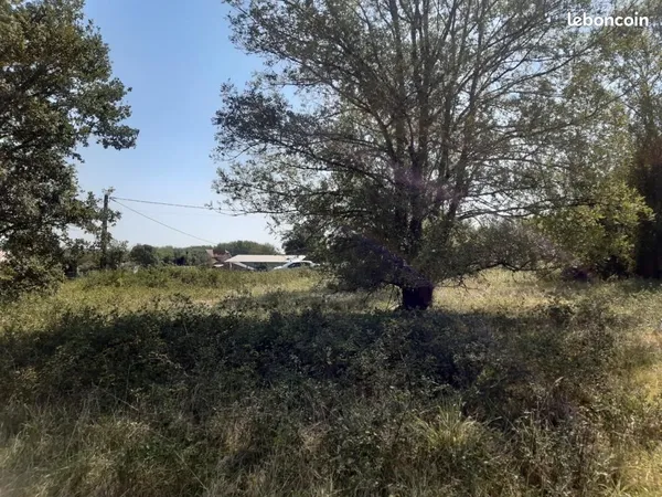 Terrain 700 m² Saint Selve 