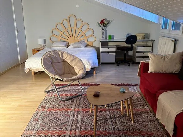 Studio meublé 28 m2 annecy centre 