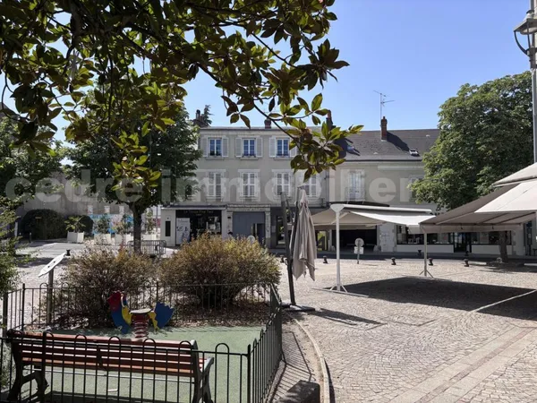 OLIVET CENTRE APPARTEMENT ANCIEN 