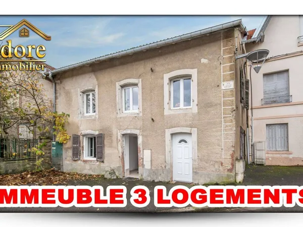 Immeuble Vente Senones   167000€