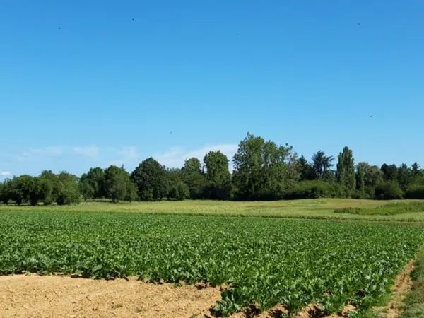 Terrain 654 m² 
