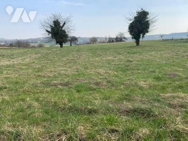 Terrain 980 m² 