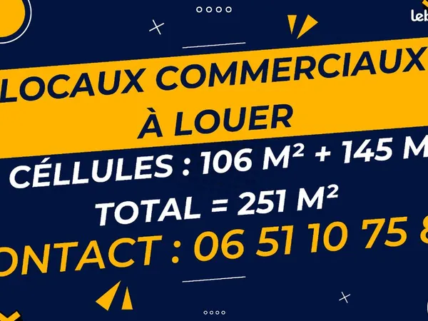Bureaux / Local commercial - 251,14 m² 