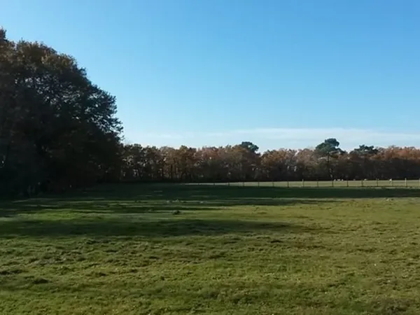 Terrain 563 m² 