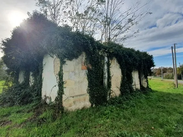 Maison en pierre 5 pièces 180 m² 