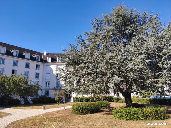 Appartement 3 pièces 63 m² 