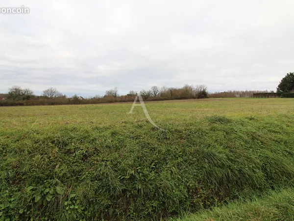 Terrain 990 m² CHISSEAUX 