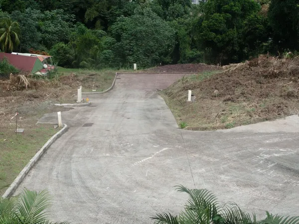 TERRAIN VIABILISE de 603 M2 A VENDRE AU FRANCOIS 