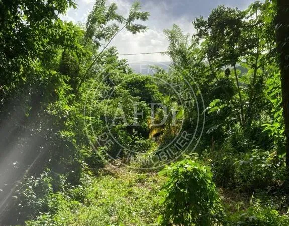 Terrain 696 m² 