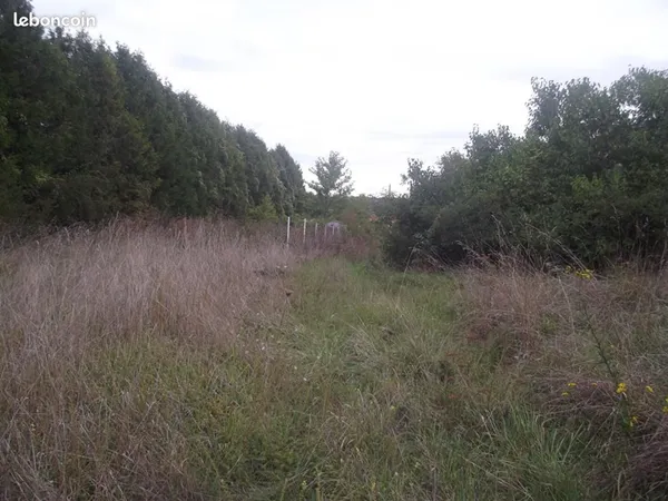 Terrain 2 378 m² Chavanges 
