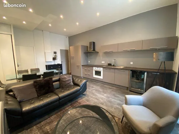 Appartement haut de gamme - Centre ville 