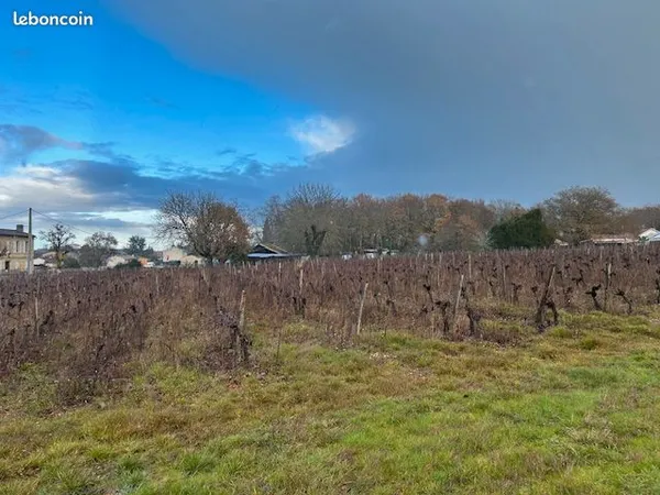 Terrain 460 m² Castres Gironde 