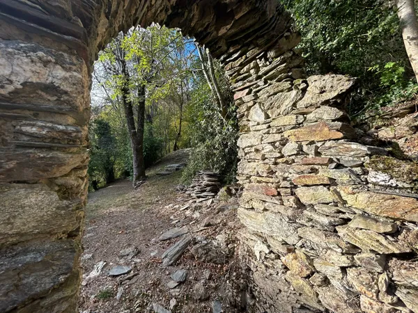 Vends maison atypique 