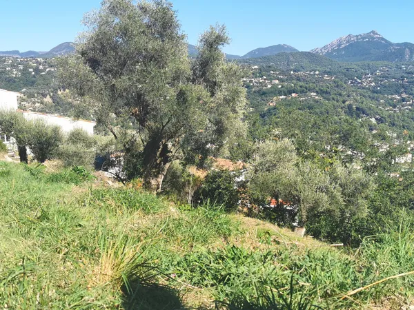 Terrain 3015 m² 