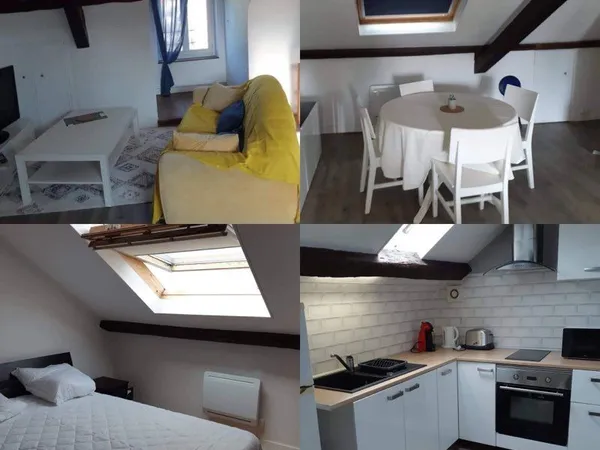 Loue t2 40-50m2 Blois centre 