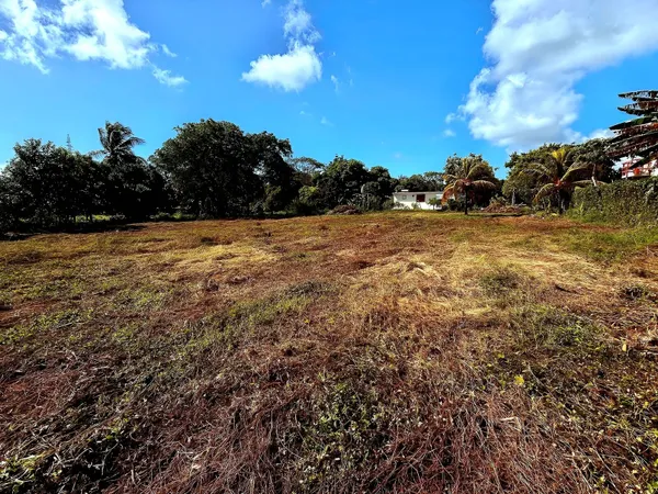 Terrain 2003 m² 