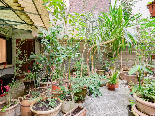 Paris XVIe - Village d'Auteuil - Local commercial 