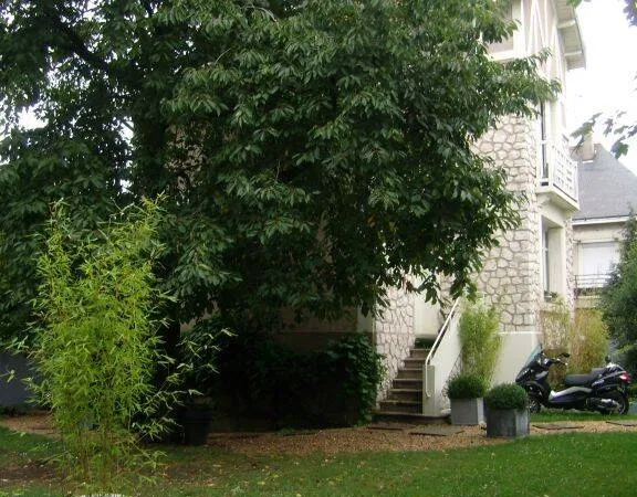Maison 4 pièces 73 m² 