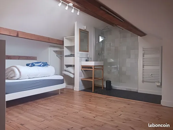 Cherche 2 colocataires centre ville Angoulême 