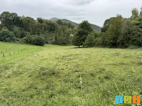 Terrain 2938 m² 