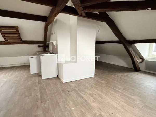 Duplex 1 pièce 24 m² 