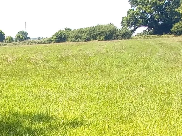 Terrain 10000 m² 