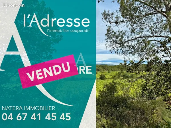 Terrain 5881 m² SAINT DREZERY 