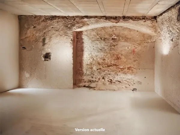 Territoire de Belfort (90) - A vendre Appartement de 78,50 m² en plateau viabilisé - Terrasse - 