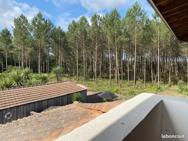 T3 lumineux - Dernier étage privatisé - Vue forêt non constructible - Aucune charge 