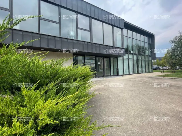 Bureau 313 m² 