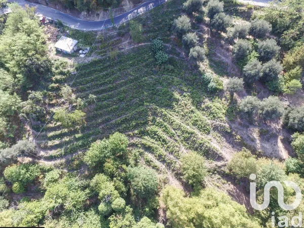 Propriété 700 m² 