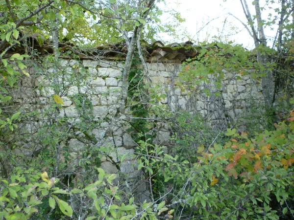 ANCIENNE PETITE GRANGE EN PIERRE A RESTAURER 