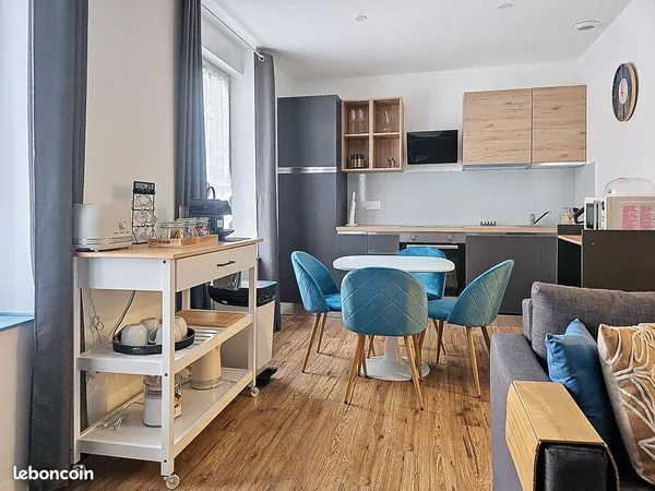 Appartement F2 de 43 m² entièrement rénové et meublé - Rue Stanislas / Place Stanislas 