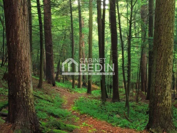 Terrain 5252 m² 
